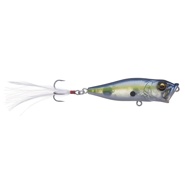 Megabass PopX GP Sexy Shad