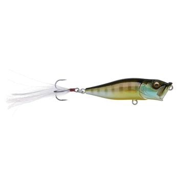 Megabass PopX Gill