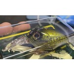 Megabass Griffon MR-X DD Bass