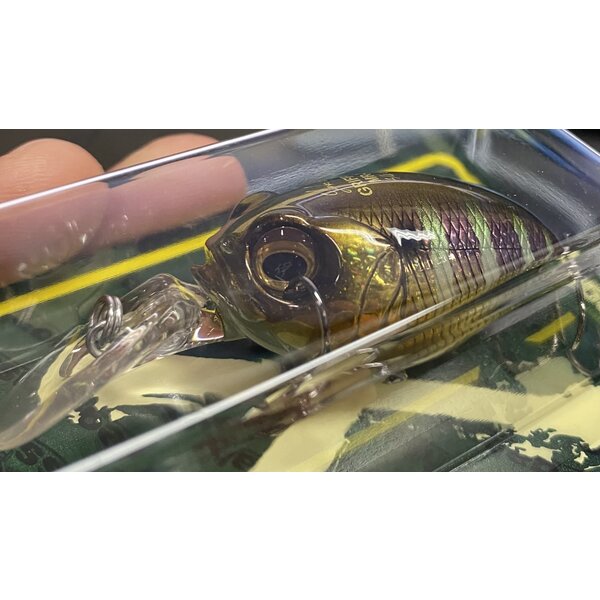 Megabass Griffon MR-X DD Gill