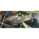 Megabass Griffon MR-X GG Wakasagi