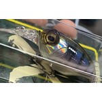 Megabass Griffon MR-X Gillkko