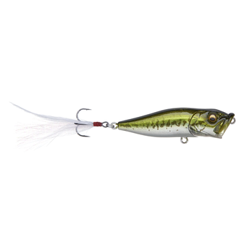 Megabass PopX GG Bass