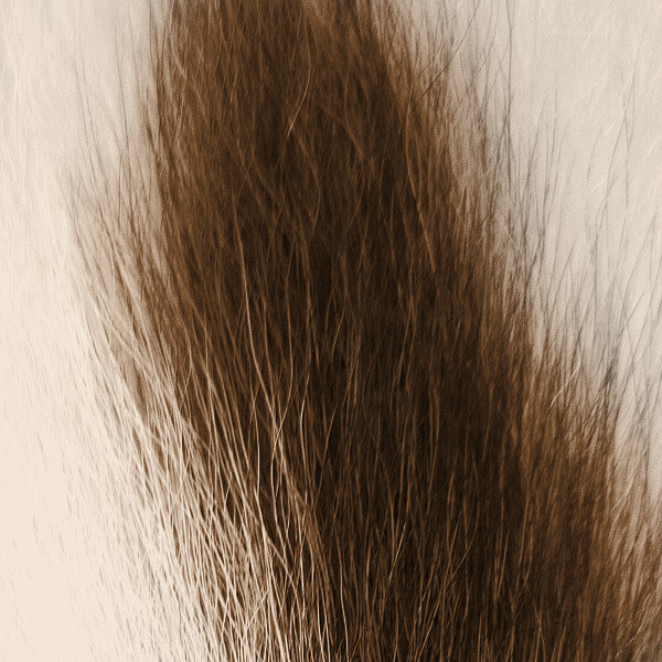 Shor Large Bucktail - White