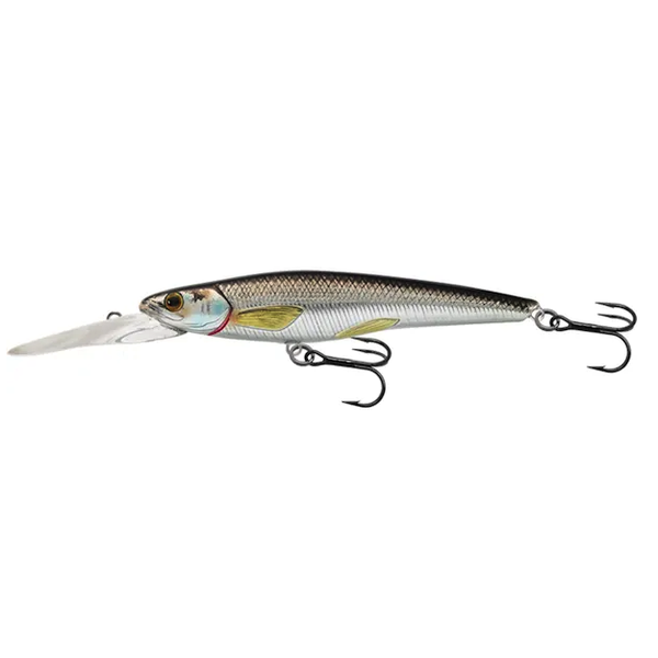 Live Target Rainbow Smelt 2-3/4" (5-6') Silver/Black