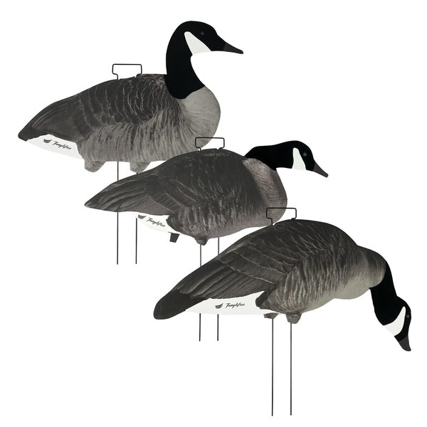 Tanglefree Canada Skinny Decoys 12 Pack w/Flocked Heads