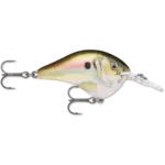 Rapala DT 6 Live River Shad 2"