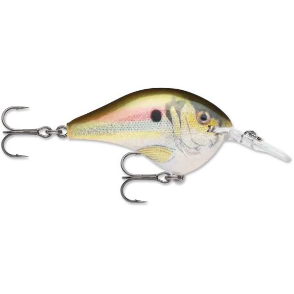 Rapala DT 6 Live River Shad 2"