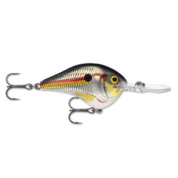 Rapala DT 8 Shad 3/8oz 2"