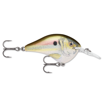 Rapala DT 8 Live River Shad 2"