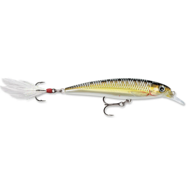 Rapala X-Rap. Live Sucker 10