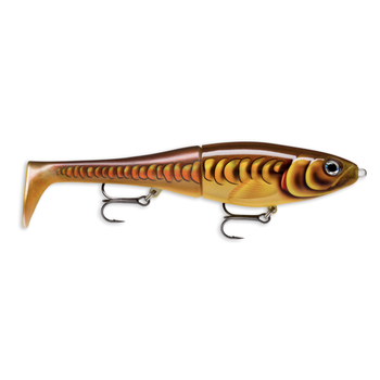 Rapala X-Rap Peto 20 Mirror Carp 8"