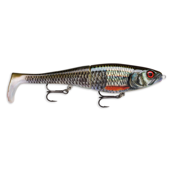 Rapala X-Rap Peto 20 Live Roach 8"