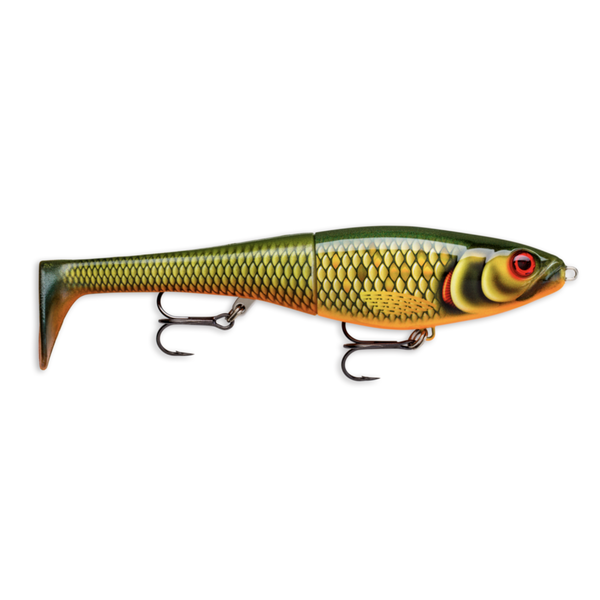 Rapala X-Rap Peto 20 Scaled Roach 8"