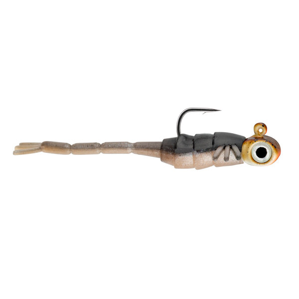 Northland Tungsten Broom Bug