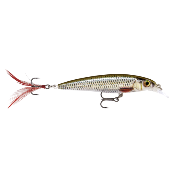 Rapala X-Rap 2-1/2" Live Roach 06