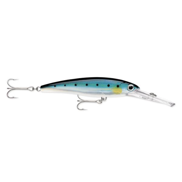 Rapala X-Rap Magnum 5-1/2" Blue Sardine