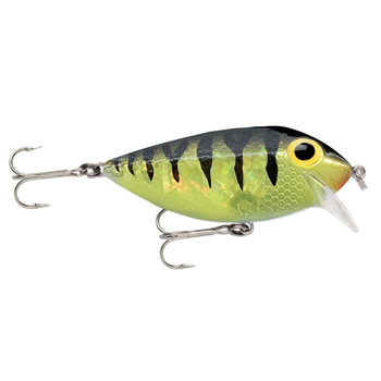 Storm Original ThinFin 08 Perch Flash