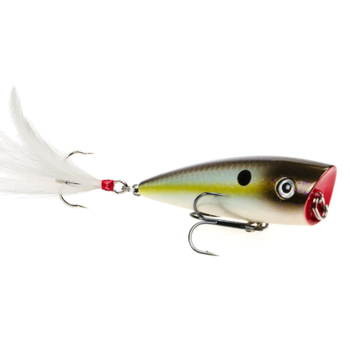 Strike King HC KVD Splash Popper 3" Summer Sexy Shad