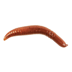 Gulp 2" Pinched Crawler Nightcrawler 6-pk