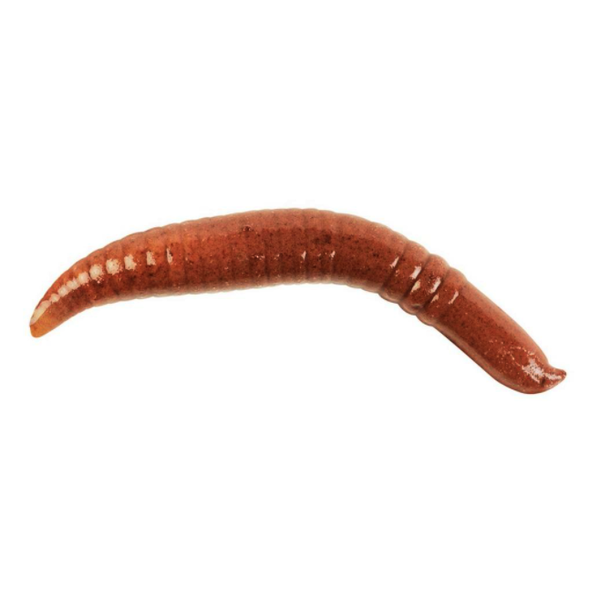 Gulp 2" Pinched Crawler Nightcrawler 6-pk