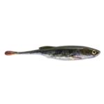 PowerBait Drip Minnow 5" 4-pk