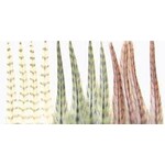 Wapsi Dry Fly Neck Hackle Mini Pack Medium