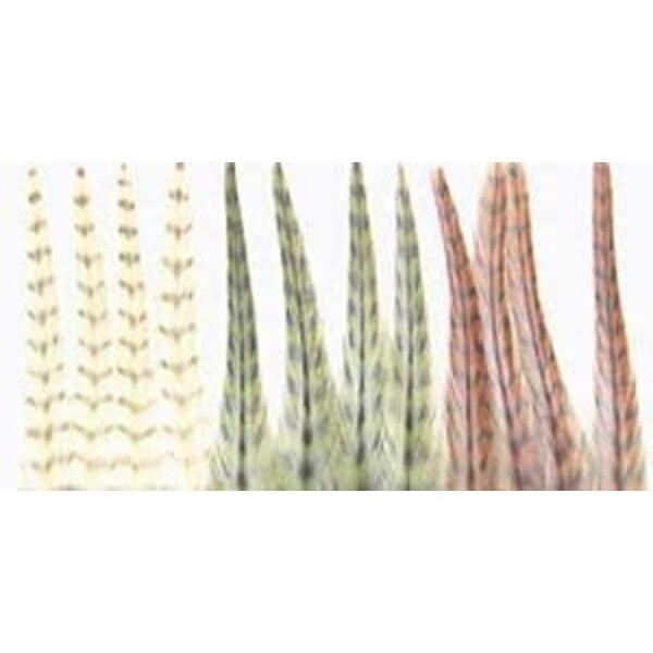 Wapsi Dry Fly Neck Hackle Mini Pack Medium