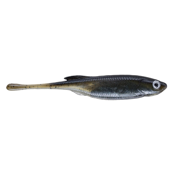 Berkley PowerBait Drip Minnow 4" 5-pk
