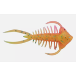 PowerBait Trilobite 1.5" 6-pk