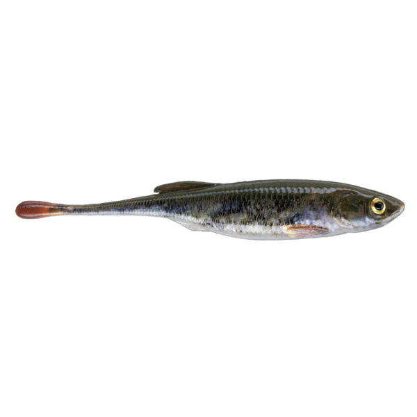 PowerBait Drip Minnow 4" 5-pk