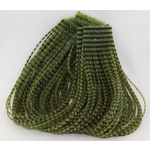 Wapsi Wapsi Sili Legs Perfectly Barred