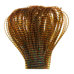 Wapsi Wapsi Sili Legs Perfectly Barred