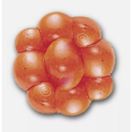 PowerBait Trout/Steelhead Egg Clusters 1" Fluorescent Orange 25-pk