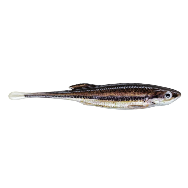 Berkley PowerBait Drip Minnow 3" 6-pk