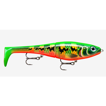 Rapala X-Rap Peto 20 Peacock 8"