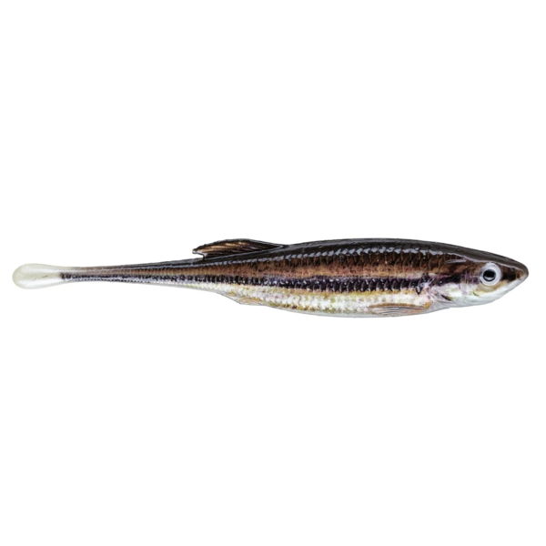 PowerBait Drip Minnow 4" 5-pk