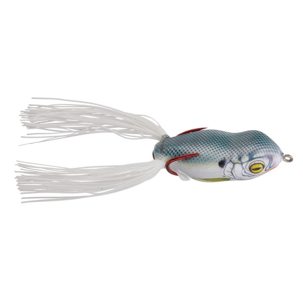 Scum Frog Launch Frog Shad
