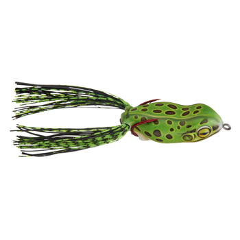 Scum Frog Launch Frog Leopard