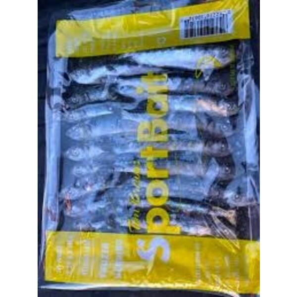 Rhys Davis 5-5.5" Yellow Label Frozen Herring (20 per tray)
