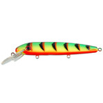 ERC Double D 9" Fire Tiger