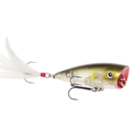 Strike King HC KVD Splash Popper 3" Clearwater Minnow