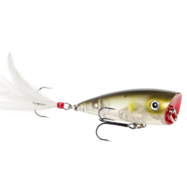 Strike King HC KVD Splash Popper 3" Clearwater Minnow