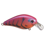Strike King KVD Squarebill 1.0