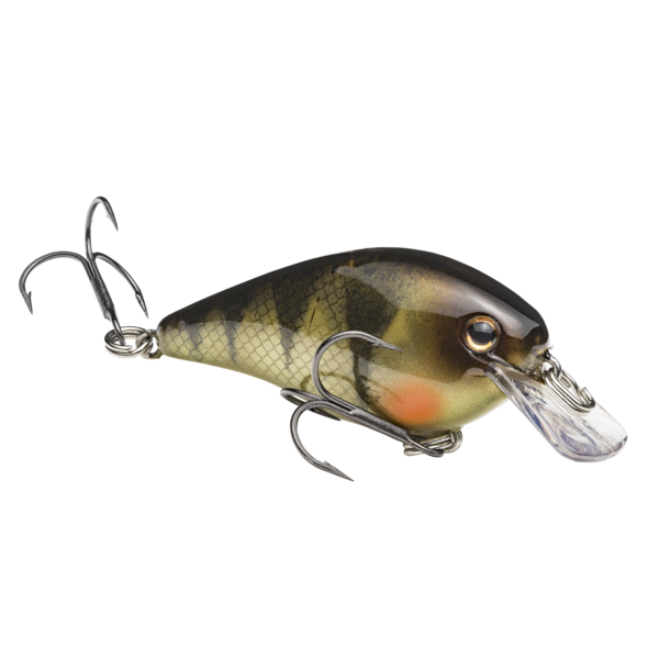 Strike King KVD Squarebill 1.0