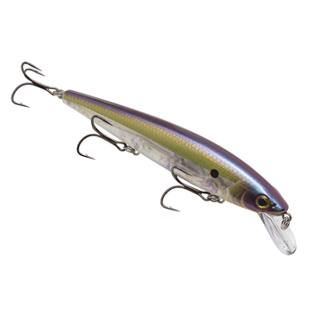 Strike King KVD Elite Jerkbait 300 TN Shad 2.0