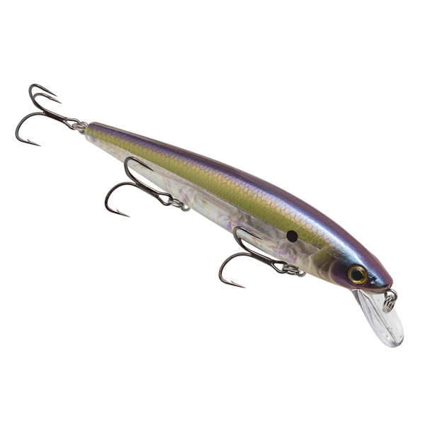 Strike King KVD Elite Jerkbait 300 TN Shad 2.0