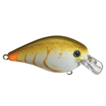 Strike King KVD Squarebill 1.0