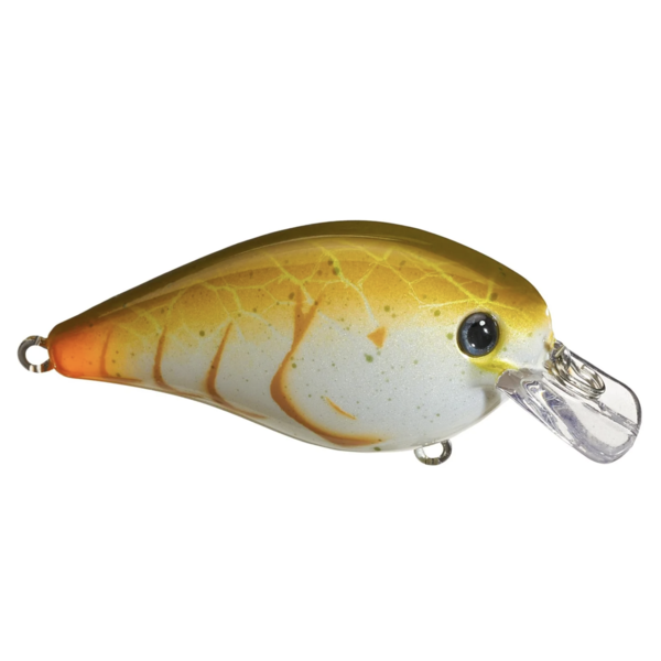 Strike King KVD Squarebill 1.0