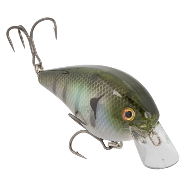 Strike King KVD Elite 2.5